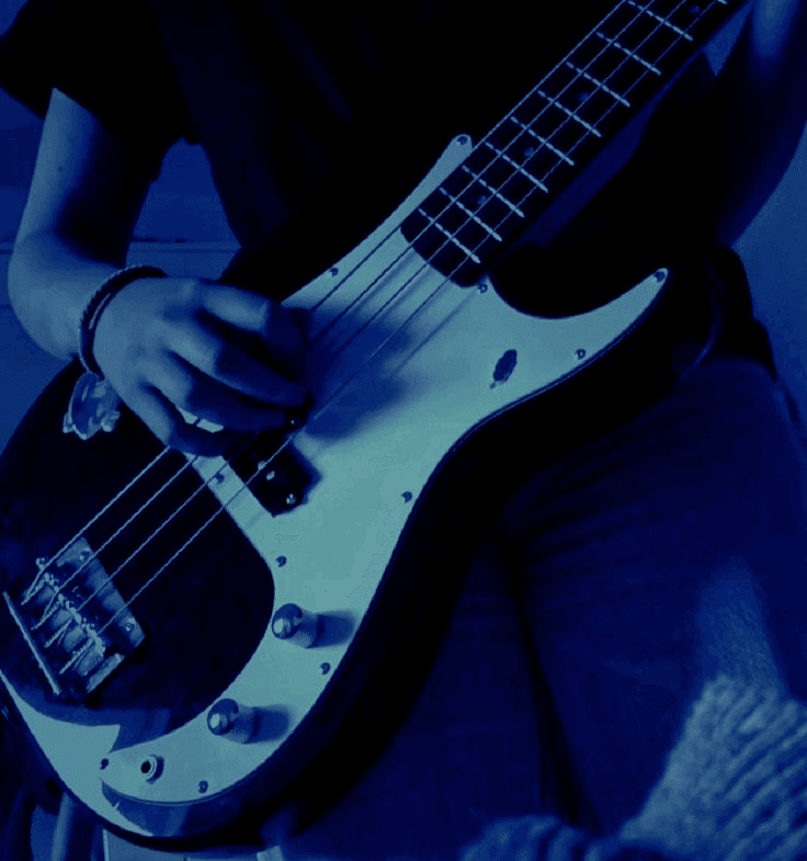 Bass Icon
